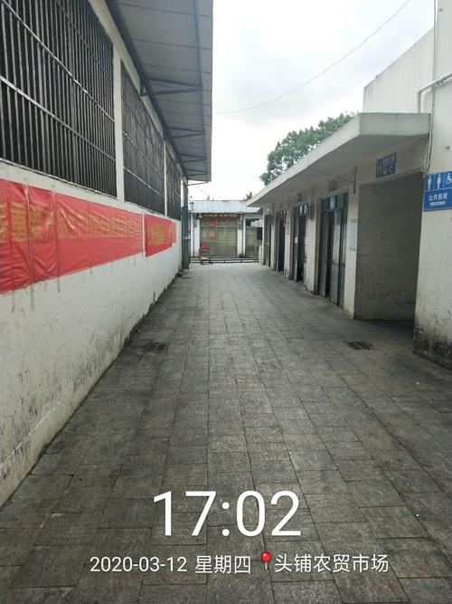 市容和环境卫生管理督查情况报告